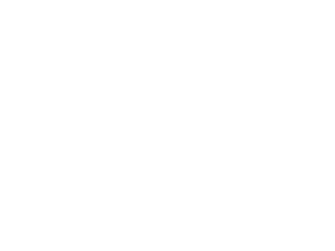 Saskia Broertjes